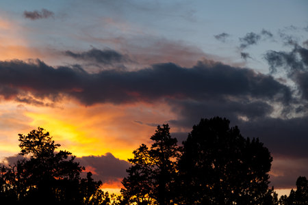 Storm clouds reflecting sunset colors in the sky above silhouetted evergreen trees in the American southwest.の写真素材
