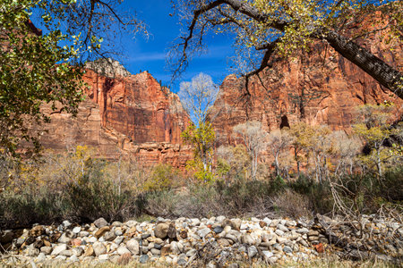 The Temple of Sinawava area at Zion National Park in Utah which is the start of the upstream hike through The Virgin River and The Narrows hike.の写真素材