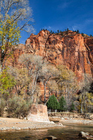 The Temple of Sinawava area at Zion National Park in Utah which is the start of the upstream hike through The Virgin River and The Narrows hike.の写真素材