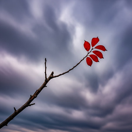 Autumn single red leaf branch. Cloudy sky minimalist nature scene. Vivid fall element.の素材