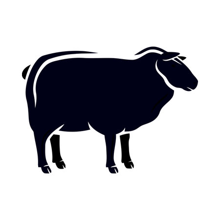 Vector image of a sheep silhouette on a white background. Farm animal.のイラスト素材
