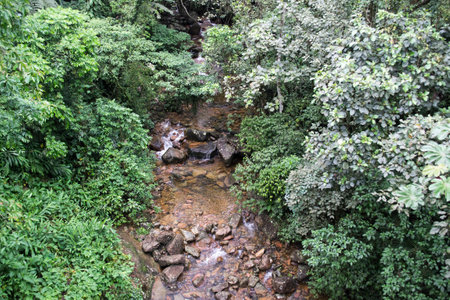 a landscape full of emotion and feeling, beautiful, simple, natural and sereneの写真素材