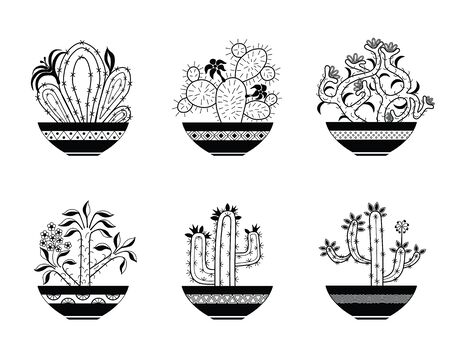 Set of blooming cactusのイラスト素材