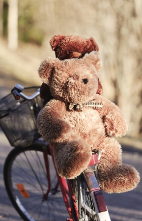 Toys on a bike in the park two teddy bears on a pathの写真素材