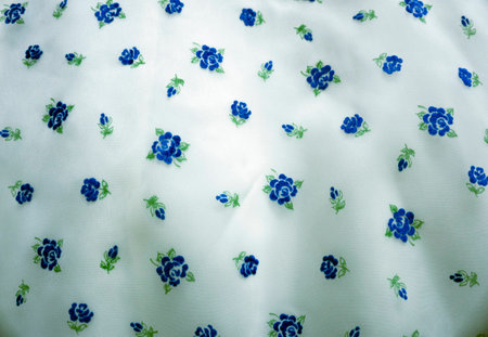Vintage Blue Floral Sheer Fabric Detailの写真素材