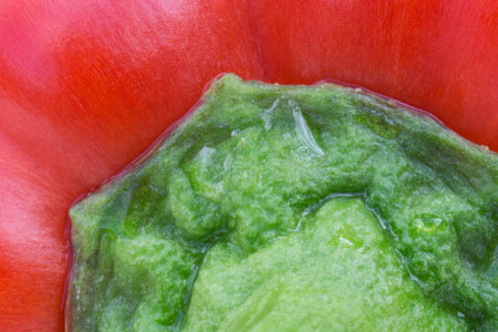 Macro Photo of a Red Pepperの写真素材