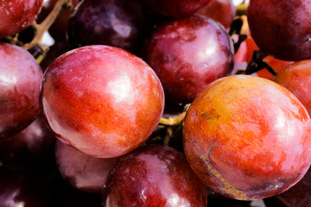 Red Table Grapesの写真素材