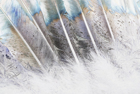 Native American Indian Feathers Art 2の写真素材