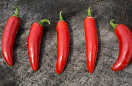 Bright Red Serrano Peppersの写真素材