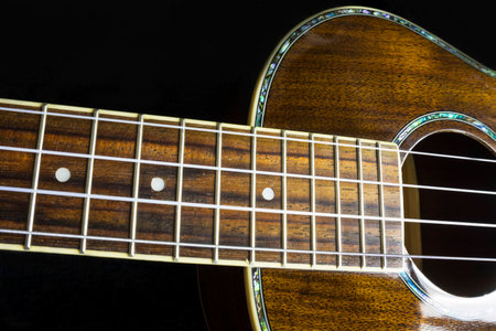 Hawaiian Ukulele Music Instrumentの写真素材
