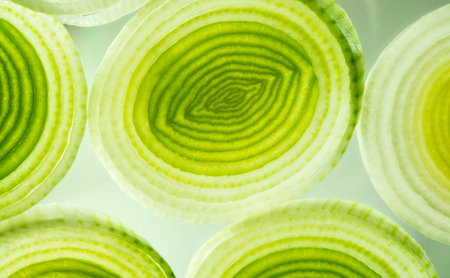 Colorful Green and Yellow Leek Slicesの写真素材