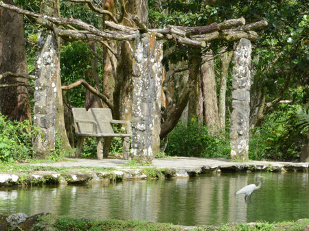 Lonely Chairの写真素材
