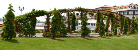 The bridge covered by climbing plantの写真素材