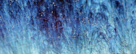 Abstract Backgroundの写真素材