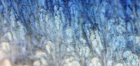 Abstract Backgroundの写真素材