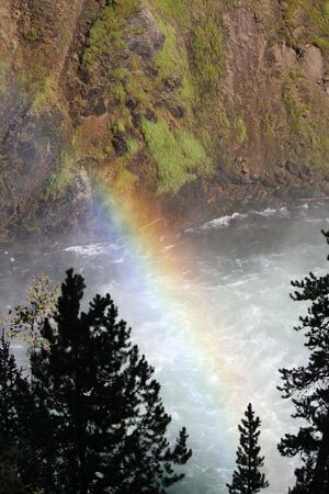 A rainbow through the trees near a waterfallの写真素材