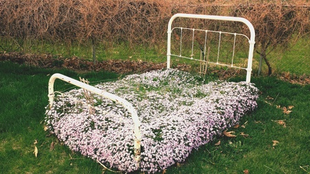 Flower bed, outside in spring. の素材