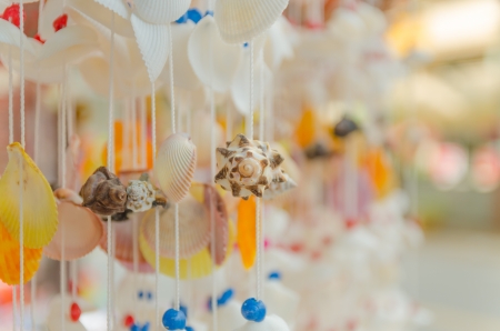 The handmade beautiful shell  for home decorateの写真素材