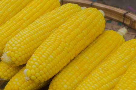 Boiled sweet corns sale at fresh food market in Thailand