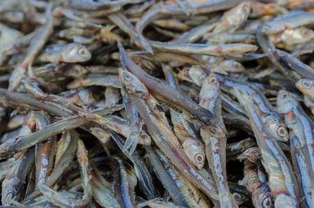 Dried anchovy dry by the sunlight for keep long timeの写真素材