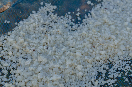 Grain salt for mix with anchovy fish before dry out with the sunlight