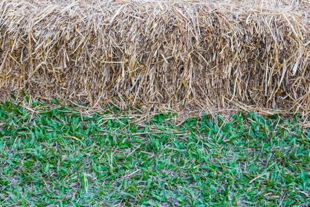 Closeup to Horizontal Half of Straw and Grass Backgroundの写真素材