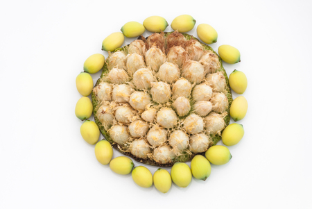 Closeup to Fiber and Seed of Lotus on White Backgroundの写真素材