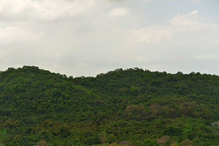 Green Mountain landscape in Sriracha, Chonburi, Thailandの写真素材