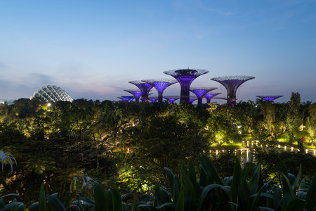 Supertree Grove. Garden by the bay in Marina Bay area at night, Singapore City.のeditorial素材