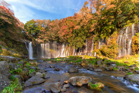 Waterfall. Fall foliage in autumn season near Fujikawaguchiko, Yamanashi. Colorful trees in Japan with blue sky background.の写真素材