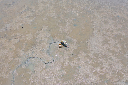 A fisherman finding shellfish on mud. People lifestyle.の写真素材