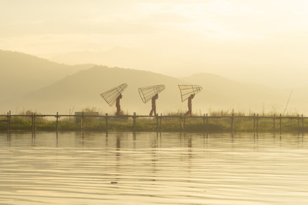 Burmese fisherman casting or throwing a net for catching freshwater fish in Unle lake, natural river in Asia in Myanmar. People lifestyle.の写真素材