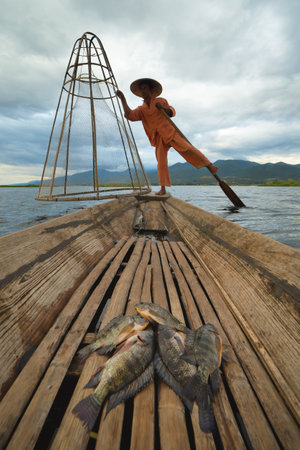 Burmese fisherman casting or throwing a net for catching freshwater fish in Unle lake, natural river in Asia in Myanmar. People lifestyle.の写真素材