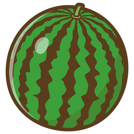 Whole watermelon. Fruits. Vector illustration.のイラスト素材
