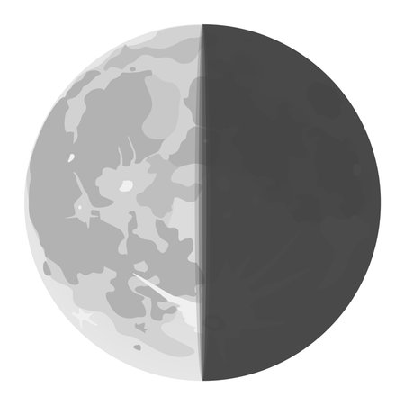 Waning moon. Last quarter moon. Half moon. Vector illustration.のイラスト素材