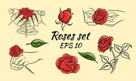 Set of hand drawn roses, rosebuds and leaves. Red roses and line. Decoration and decorations.のイラスト素材