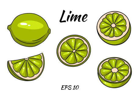 Set of juicy limes. Lime, whole and half cut. Cartoon style. Set isolated on white background. Illustrations for design and decoration.のイラスト素材