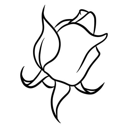 Hand-drawn roses. Beautiful flower. Cartoon style. Vector illustration. For design and decoration.のイラスト素材