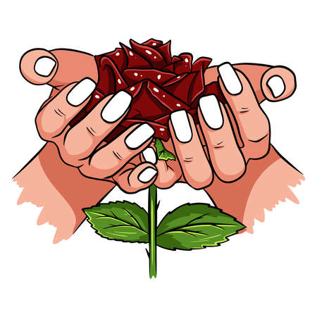 Red rose in female hands. Romantic. Vector illustration. Isolated drawing on a white background.のイラスト素材