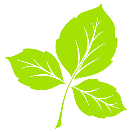 Leaflet. Carved leaf. Cartoon style. Illustration for design and decoration. For registration of invitations, business cards. Creation of frames.のイラスト素材