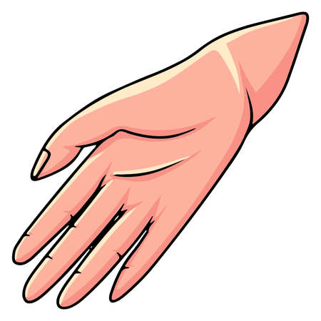 Hand gesture. Woman's hand. Hand gestures. Cartoon style. Illustration for design and decoration.のイラスト素材