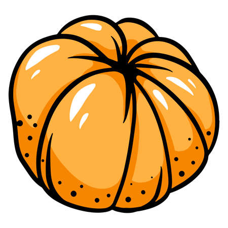 Mandarin. Peeled tangerine. Tangerine without peel. Citrus fruits. Vitamin C. Cartoon style. Vector illustration for design and decoration.のイラスト素材
