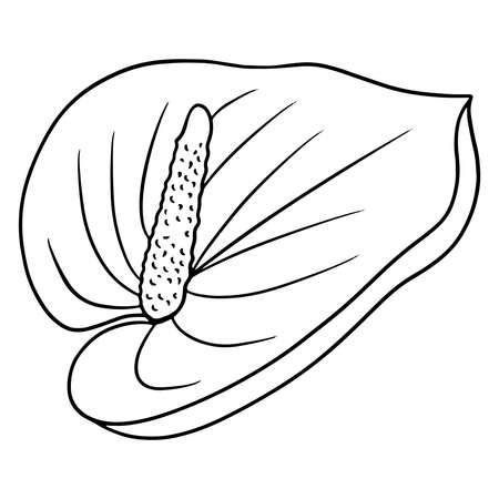 Tropical plant bright flower in line style for coloring book. Vector illustration for design isolated on white background.のイラスト素材