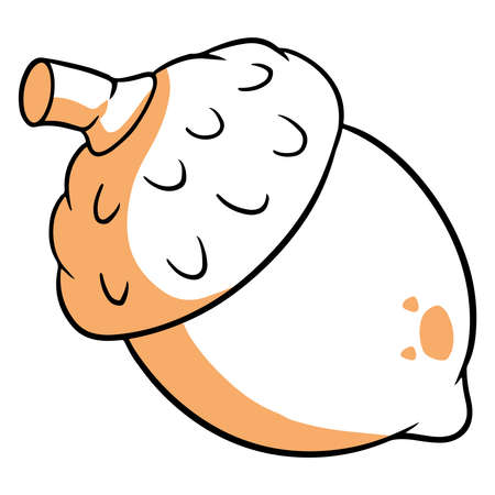 The fruit of the oak is edible. An acorn with a hat and a twig. Line style. Vector illustration for design and decoration.のイラスト素材