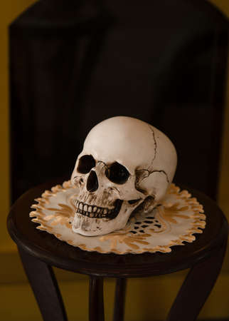 Old male skull on the table. Skull for the ritual. Human skull.の写真素材