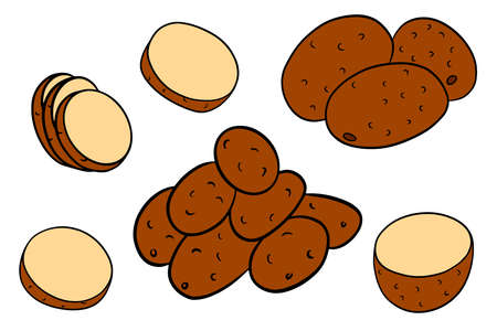 Set of potatoes. Whole potatoes, cut into wedges, half. In a cartoon style. Vector illustration for design and decoration.のイラスト素材
