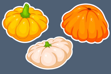Squash set. Fresh squash yellow, orange and beige. In cartoon style stickers. Vector illustration for design and decoration.のイラスト素材