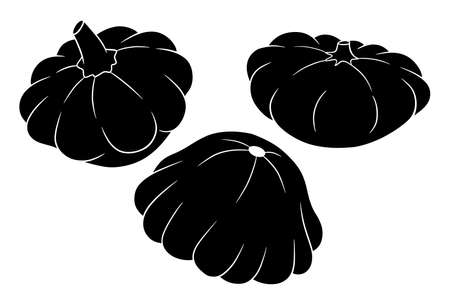 Squash set. Fresh vegetable squash Silhouette. Vector illustration for design and decoration.のイラスト素材