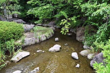 Japanese gardenの写真素材