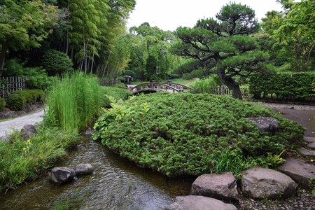 Japanese gardenの写真素材